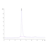SEC-HPLC - Recombinant Human CD4 Protein (C-terminal Human Fc Tag) (A330335) - Antibodies.com