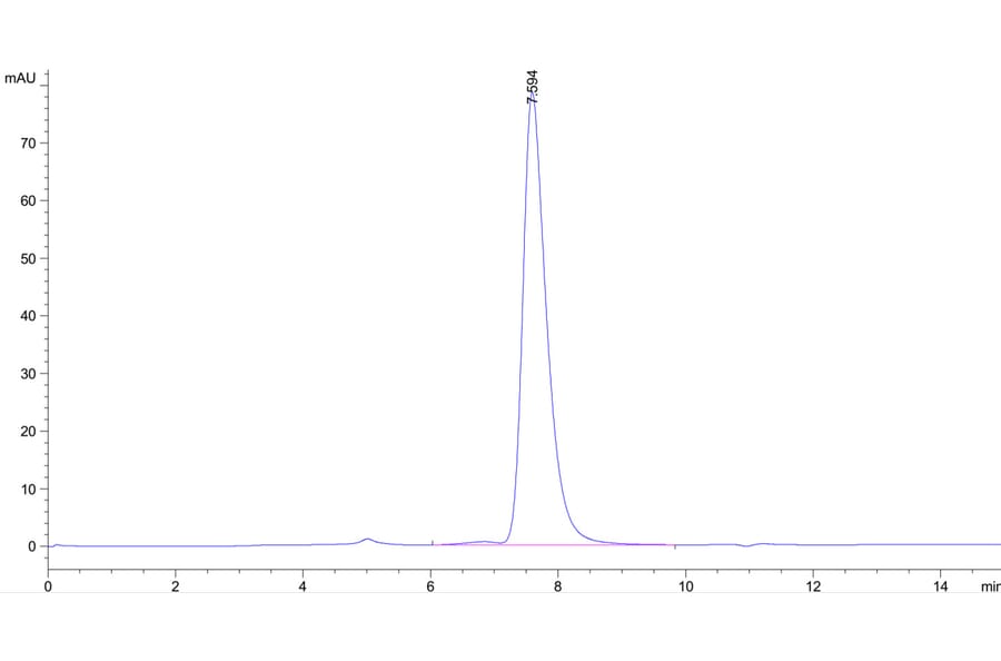 SEC-HPLC - Recombinant Human CD40 Protein (Biotin) (C-terminal His and Avi Tag) (A330336) - Antibodies.com