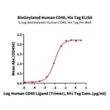 Standard Curve - Recombinant Human CD40 Protein (Biotin) (C-terminal His and Avi Tag) (A330336) - Antibodies.com