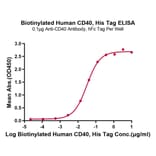 Standard Curve - Recombinant Human CD40 Protein (Biotin) (C-terminal His and Avi Tag) (A330336) - Antibodies.com