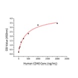 Standard Curve - Recombinant Human CD40 Protein (C-terminal Human Fc and His Tag) (A330338) - Antibodies.com