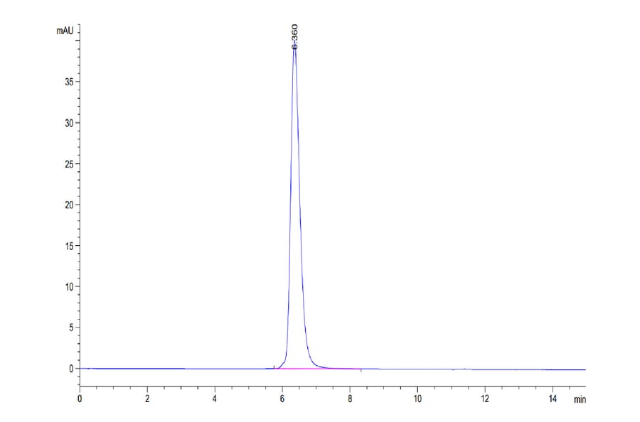 SEC-HPLC - Recombinant Human CD40 Protein (C-terminal Human Fc Tag) (A330339) - Antibodies.com