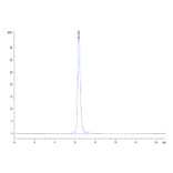 SEC-HPLC - Recombinant Human CD40 Protein (C-terminal Human Fc Tag) (A330339) - Antibodies.com