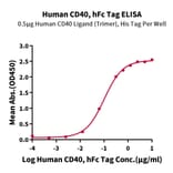 Standard Curve - Recombinant Human CD40 Protein (C-terminal Human Fc Tag) (A330339) - Antibodies.com