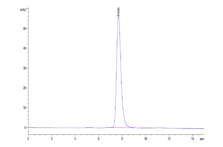 SEC-HPLC - Recombinant Human CD40 Protein (C-terminal His Tag) (A330340) - Antibodies.com