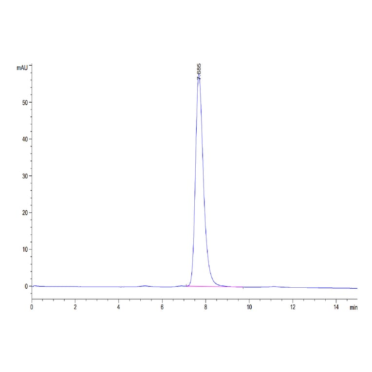 SEC-HPLC - Recombinant Human CD40 Protein (C-terminal His Tag) (A330340) - Antibodies.com