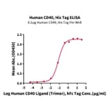 Standard Curve - Recombinant Human CD40 Protein (C-terminal His Tag) (A330340) - Antibodies.com