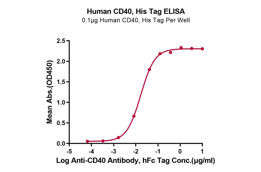 Standard Curve - Recombinant Human CD40 Protein (C-terminal His Tag) (A330340) - Antibodies.com