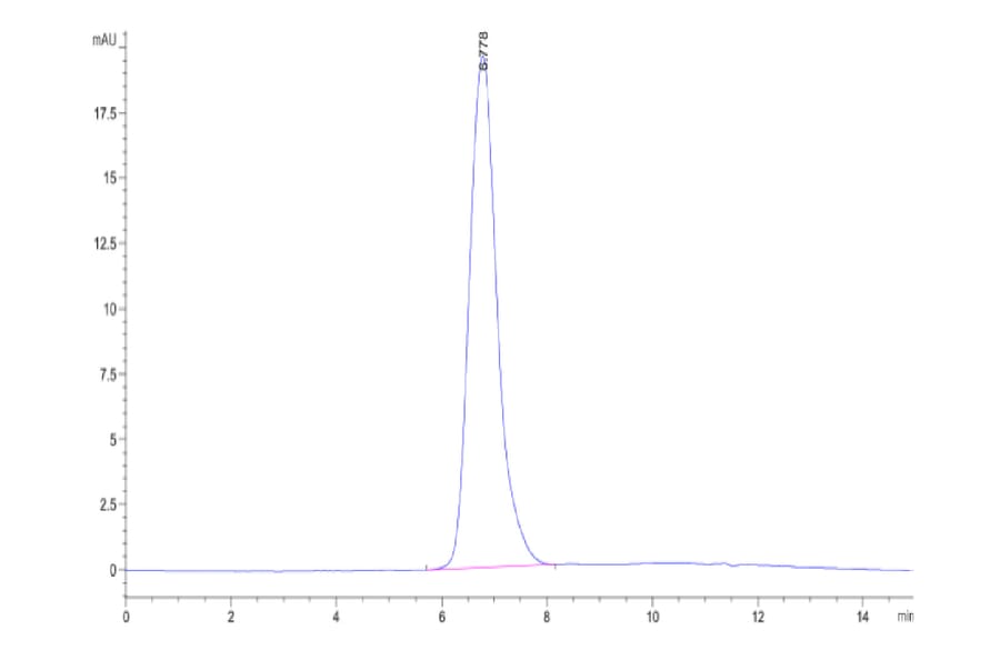 SEC-HPLC - Recombinant Human CD44 Protein (C-terminal Human Fc Tag) (A330342) - Antibodies.com