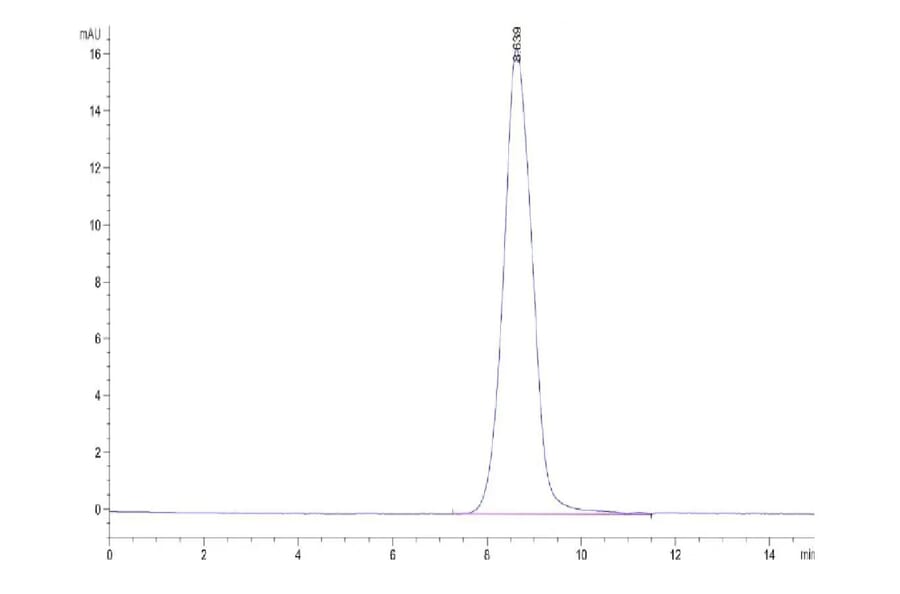 SEC-HPLC - Recombinant Human CD44 Protein (C-terminal His Tag) (A330343) - Antibodies.com