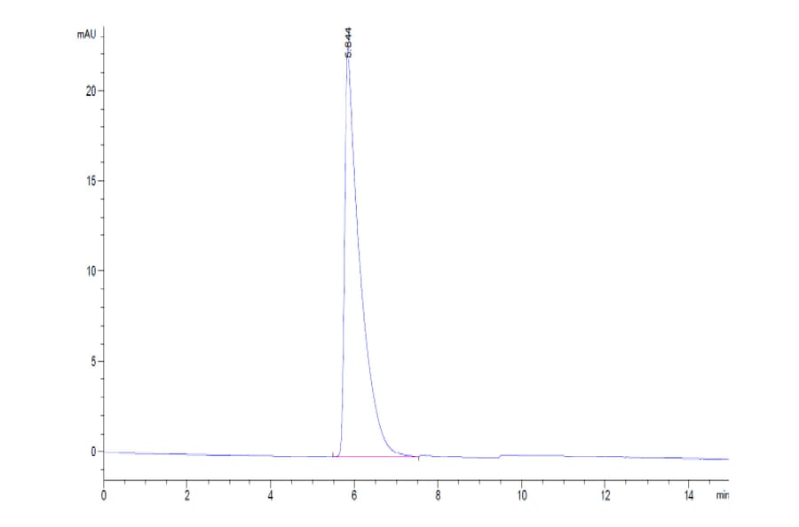 SEC-HPLC - Recombinant Human CD45 Protein (C-terminal Human Fc Tag) (A330344) - Antibodies.com