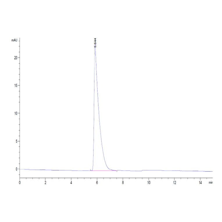 SEC-HPLC - Recombinant Human CD45 Protein (C-terminal Human Fc Tag) (A330344) - Antibodies.com
