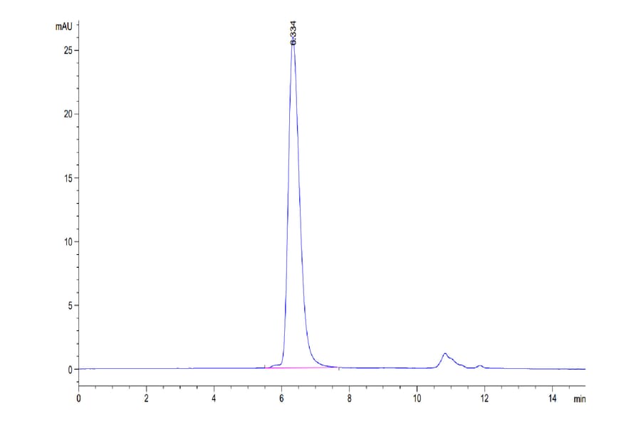 SEC-HPLC - Recombinant Human CD45 Protein (C-terminal His Tag) (A330345) - Antibodies.com