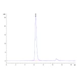 SEC-HPLC - Recombinant Human CD45 Protein (C-terminal His Tag) (A330345) - Antibodies.com