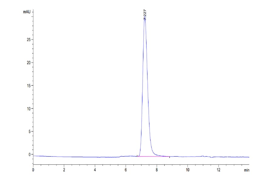 SEC-HPLC - Recombinant Human CD45 Protein (Biotin) (C-terminal His and Avi Tag) (A330346) - Antibodies.com