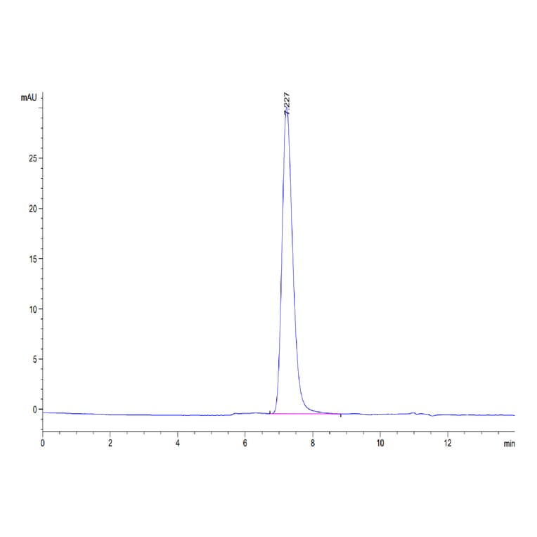 SEC-HPLC - Recombinant Human CD45 Protein (Biotin) (C-terminal His and Avi Tag) (A330346) - Antibodies.com