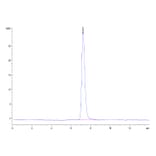SEC-HPLC - Recombinant Human CD45 Protein (Biotin) (C-terminal His and Avi Tag) (A330346) - Antibodies.com