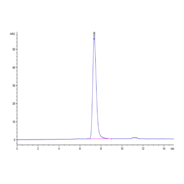 SEC-HPLC - Recombinant Human CD45 Protein (C-terminal His and Avi Tag) (A330347) - Antibodies.com