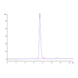 SEC-HPLC - Recombinant Human CD45 Protein (C-terminal His and Avi Tag) (A330347) - Antibodies.com