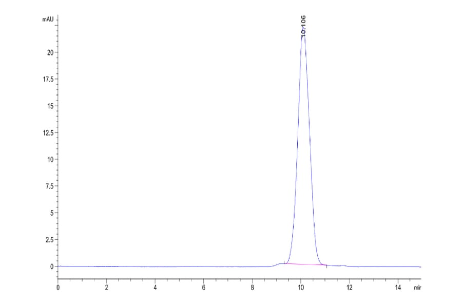 SEC-HPLC - Recombinant Human CD47 Protein (A330357) - Antibodies.com