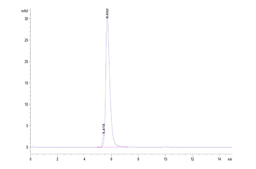 SEC-HPLC - Recombinant Human CD5 Protein (Biotin) (C-terminal Human Fc and Avi Tag) (A330362) - Antibodies.com