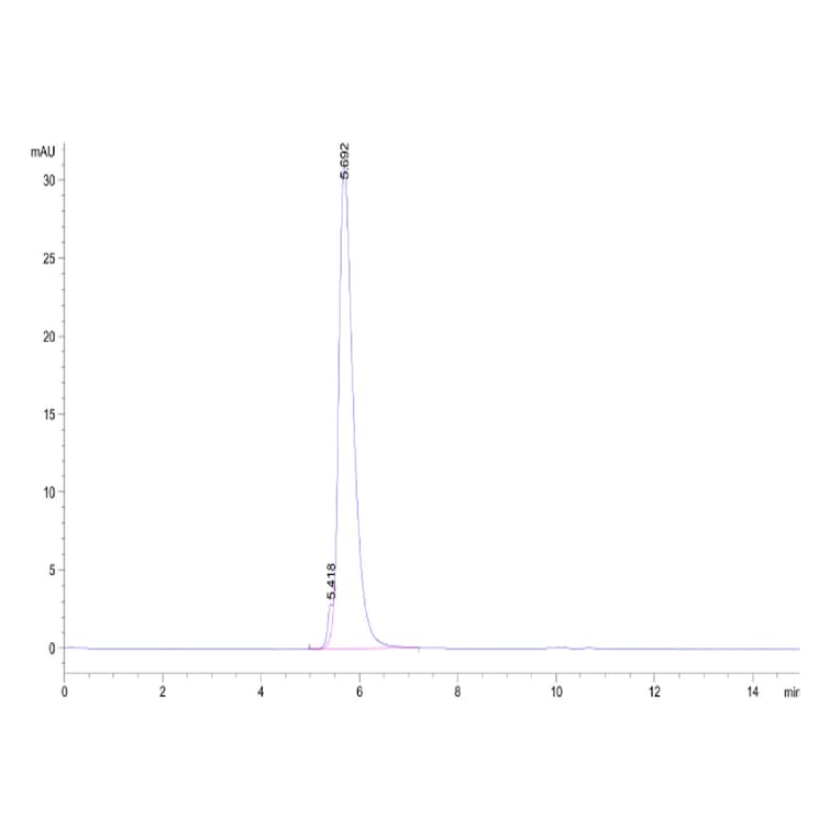 SEC-HPLC - Recombinant Human CD5 Protein (Biotin) (C-terminal Human Fc and Avi Tag) (A330362) - Antibodies.com