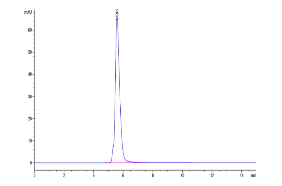 SEC-HPLC - Recombinant Human CD5 Protein (C-terminal Human Fc and Avi Tag) (A330363) - Antibodies.com