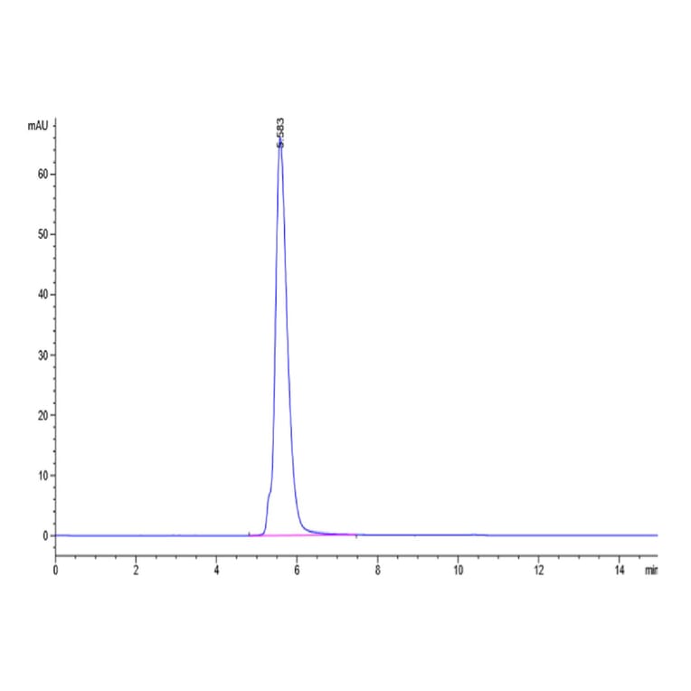 SEC-HPLC - Recombinant Human CD5 Protein (C-terminal Human Fc and Avi Tag) (A330363) - Antibodies.com