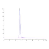 SEC-HPLC - Recombinant Human CD5 Protein (C-terminal Human Fc and Avi Tag) (A330363) - Antibodies.com