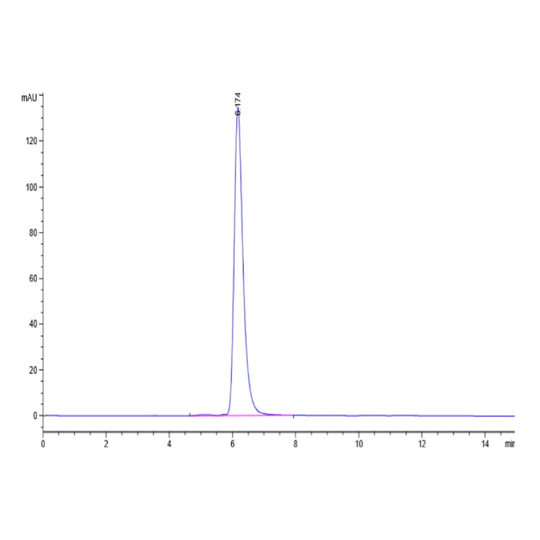 SEC-HPLC - Recombinant Human CD62E Protein (Biotin) (C-terminal His and Avi Tag) (A330372) - Antibodies.com