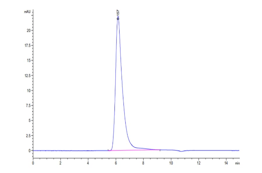 SEC-HPLC - Recombinant Human CD62E Protein (C-terminal Human Fc Tag) (A330373) - Antibodies.com