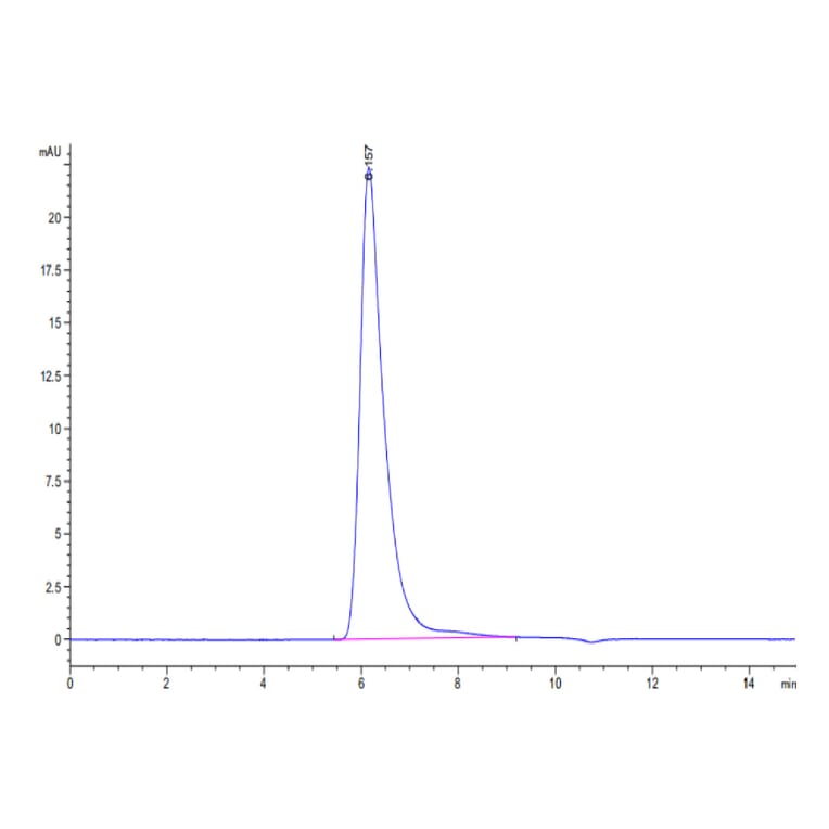 SEC-HPLC - Recombinant Human CD62E Protein (C-terminal Human Fc Tag) (A330373) - Antibodies.com