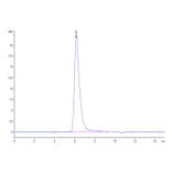 SEC-HPLC - Recombinant Human CD62E Protein (C-terminal Human Fc Tag) (A330373) - Antibodies.com