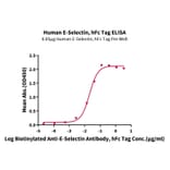 Standard Curve - Recombinant Human CD62E Protein (C-terminal Human Fc Tag) (A330373) - Antibodies.com