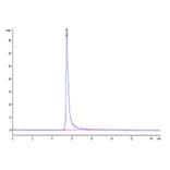 SEC-HPLC - Recombinant Human CD62P Protein (Biotin) (C-terminal His and Avi Tag) (A330376) - Antibodies.com