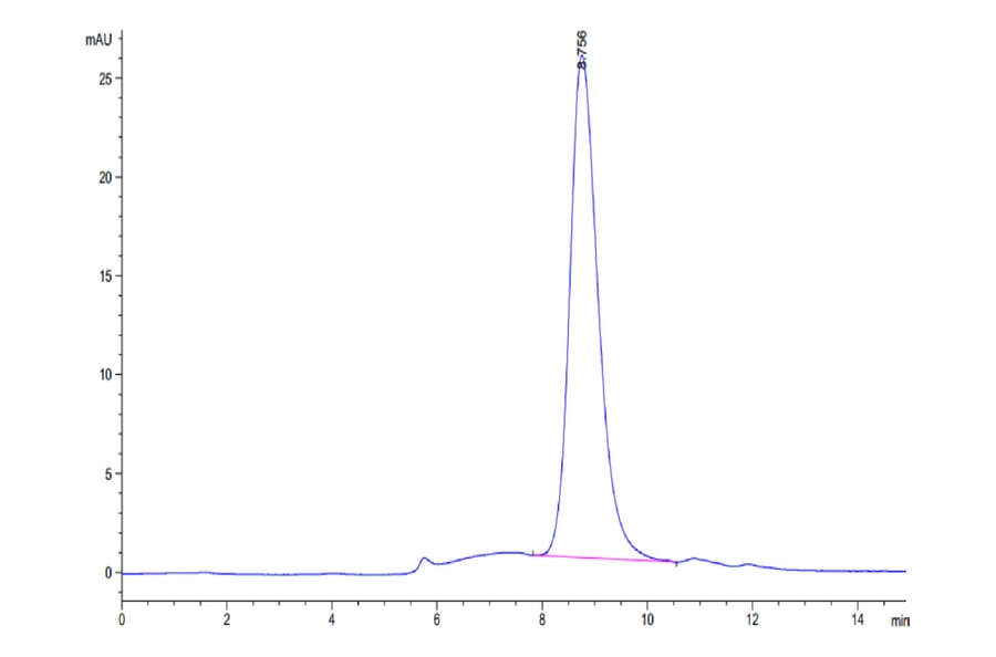 SEC-HPLC - Recombinant Human CD64 Protein (Biotin) (C-terminal His and Avi Tag) (A330379) - Antibodies.com