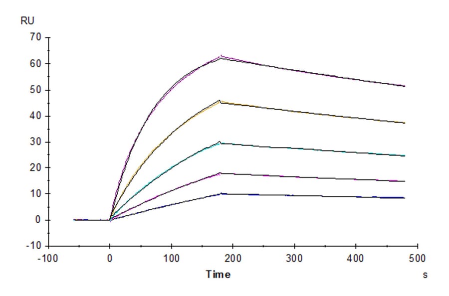 SPR Assay - Recombinant Human CD64 Protein (Biotin) (C-terminal His and Avi Tag) (A330379) - Antibodies.com