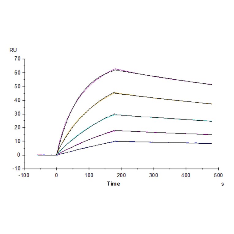 SPR Assay - Recombinant Human CD64 Protein (Biotin) (C-terminal His and Avi Tag) (A330379) - Antibodies.com