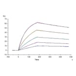 SPR Assay - Recombinant Human CD64 Protein (Biotin) (C-terminal His and Avi Tag) (A330379) - Antibodies.com