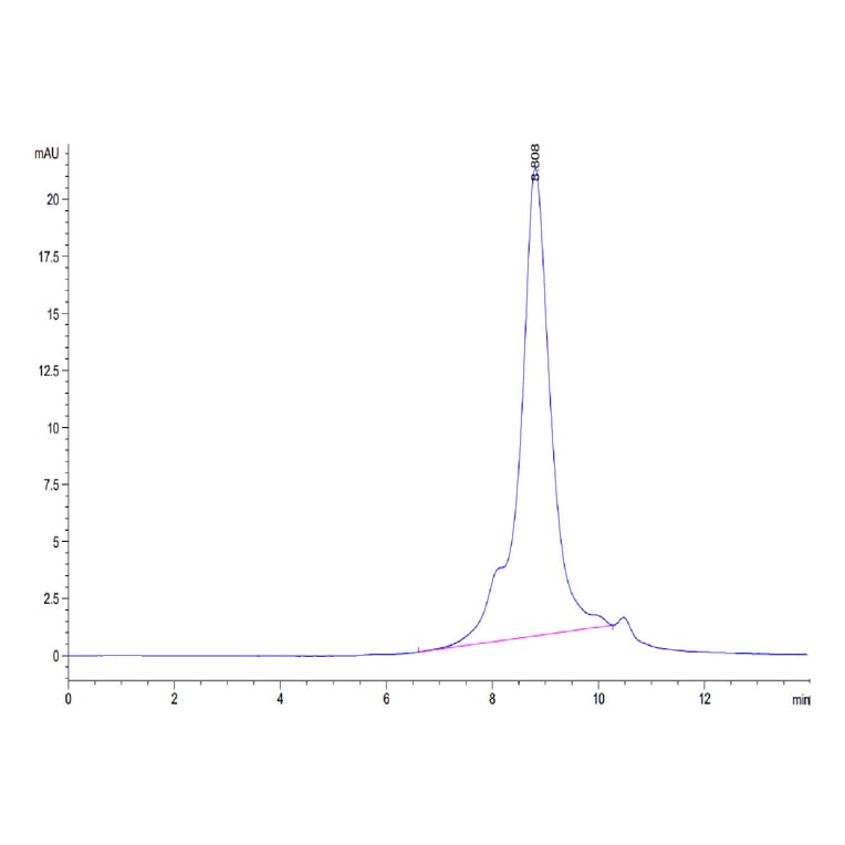 Tris-Bis PAGE - Recombinant Human CD64 Protein (C-terminal His and Avi Tag) (A330380) - Antibodies.com