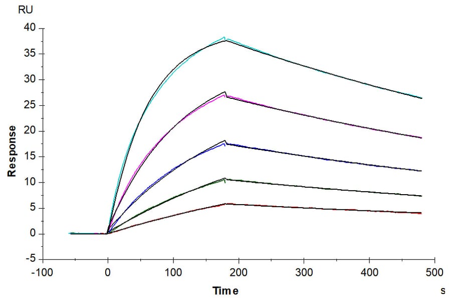 SPR Assay - Recombinant Human CD64 Protein (C-terminal His and Avi Tag) (A330380) - Antibodies.com