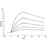 SPR Assay - Recombinant Human CD64 Protein (C-terminal His and Avi Tag) (A330380) - Antibodies.com