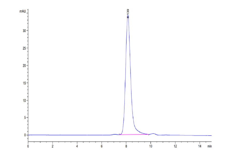 SEC-HPLC - Recombinant Human CD66b Protein (Biotin) (C-terminal His and Avi Tag) (A330381) - Antibodies.com