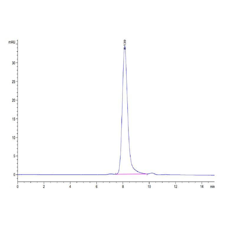 SEC-HPLC - Recombinant Human CD66b Protein (Biotin) (C-terminal His and Avi Tag) (A330381) - Antibodies.com