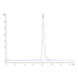 SEC-HPLC - Recombinant Human CD66b Protein (Biotin) (C-terminal His and Avi Tag) (A330381) - Antibodies.com