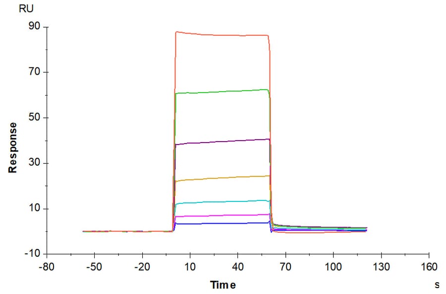 SPR Assay - Recombinant Human CD66b Protein (Biotin) (C-terminal His and Avi Tag) (A330381) - Antibodies.com