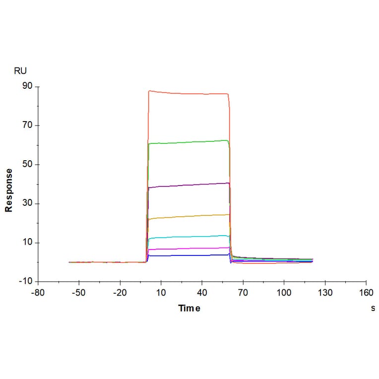 SPR Assay - Recombinant Human CD66b Protein (Biotin) (C-terminal His and Avi Tag) (A330381) - Antibodies.com