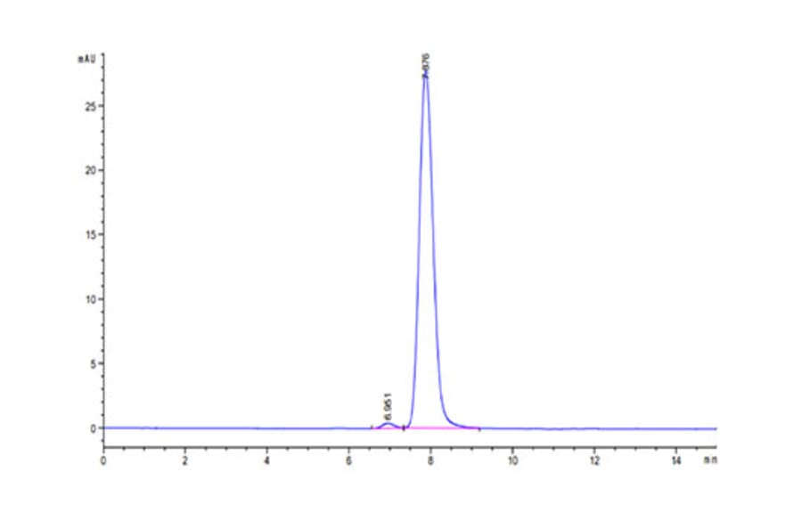 SEC-HPLC - Recombinant Human CD7 Protein (C-terminal Human Fc Tag) (A330386) - Antibodies.com