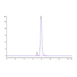 SEC-HPLC - Recombinant Human CD7 Protein (C-terminal Human Fc Tag) (A330386) - Antibodies.com