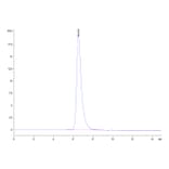 SEC-HPLC - Recombinant Human CD7 Protein (Biotin) (C-terminal His and Avi Tag) (A330388) - Antibodies.com